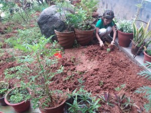 Montessori Gardening Day